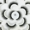 3D101