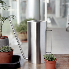 Stainless Steel Flower Watering Can, Metal Succulent Sprayer, Indoor Spray Bottle, Garden Long-Necked Watering Pot, Household Use