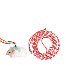 宠物仓鼠遛绳绳2米 荷兰猪松鼠兔子安全绳蜥蜴爬宠牵引绳批发