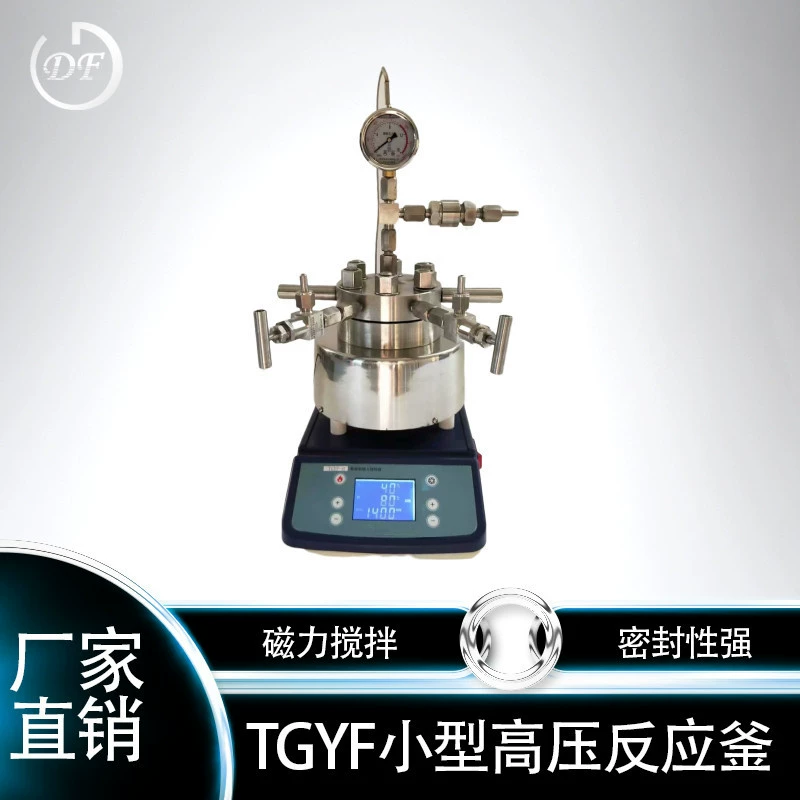 Микро Магнитной Мешалкой Лабораторный Реактор Высокого Давления Небольшой Реактор Высокого Давления Реактор Гидротермального Синтеза