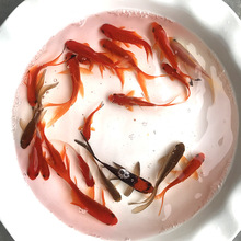 �t���~С���~��ˮ�^�p�~���B��������l��ӵ��坍���^�~�\�a�~