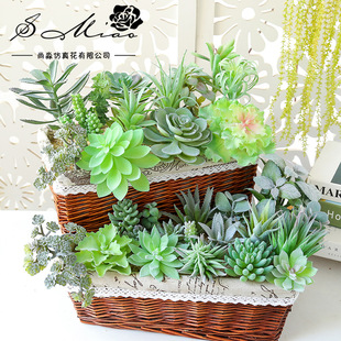 001ֲ�q�Gɫϵ�ж��⻨�^����DIY���ֲ����羳������