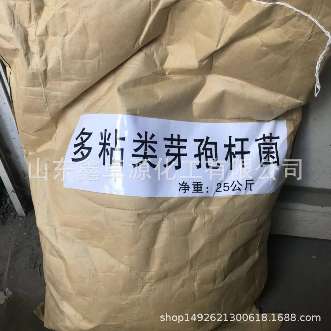 复合多粘类芽孢杆菌 微生物菌种 生物菌肥 多粘类芽孢杆菌