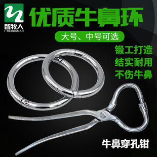 ���P�ţ�ǭh ̼�ţ��Ȧ ˩ţȦţ�����Bֳ����ţ���Qţ�ñ�����