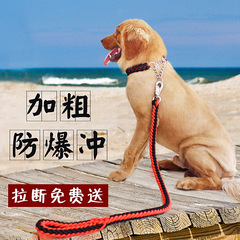 Handwoven 8-Strand Rope P-Chain Pet Leash: Medium to Large Dog Collar & Leash—Factory Wholesale