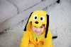 Big yellow dog