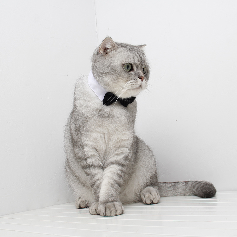 Accesorios para Bodas de Gatos Ji Zai Zai, Corbata de Moño Roja Festiva para Mascotas, Corbata de Moño de Doble Capa para Caballero