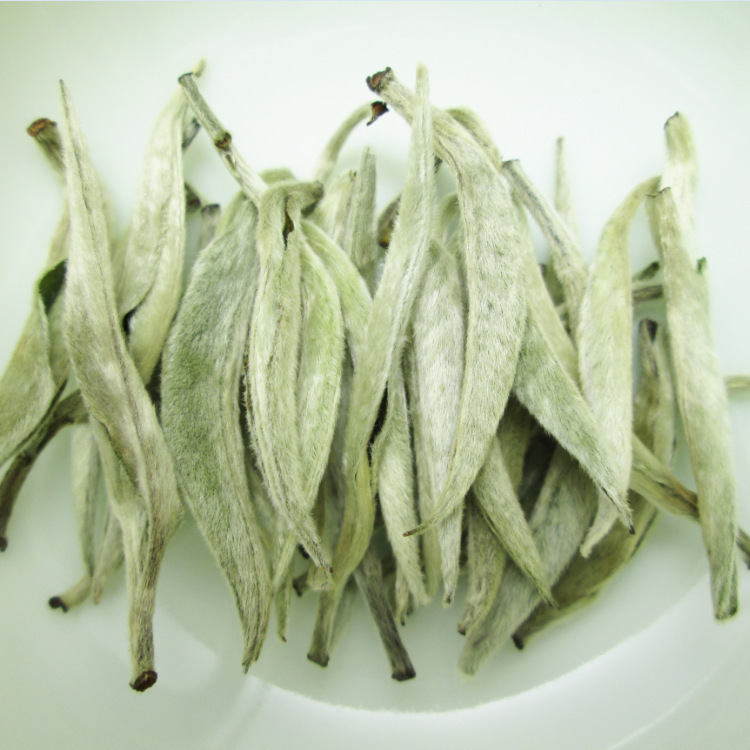 Yunnan White Tea 2026 Spring Tea Dabaihao Jinggu Moonlight White Single Bud White Silver Needle Loose Tea