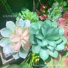 ��Ʒ������J�C�^��ɏֲ���ķ����ɏ��ƺ��򙻴��b����l