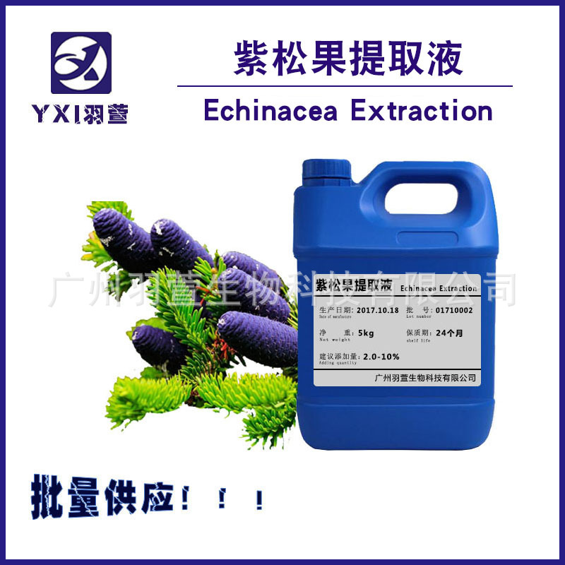 紫松果提取液 植物提取液 紫松果萃取液 紫松果提取物