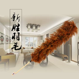 除尘掸;其他健身器材;拖把、拖布桶