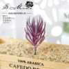 Xiaolan grass velvet purple (excluding pot)