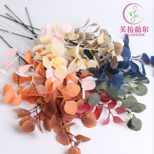 �O���~�ȼ����~�����Gֲ��c��Y���ü�ֲ���~�ӾƵ�廨�߷���