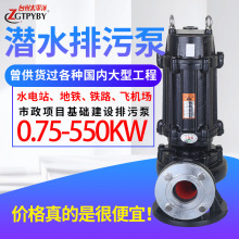 潜水排污泵防洪排涝潜水泵农用灌溉地下室集水坑污水泵抽粪泥浆