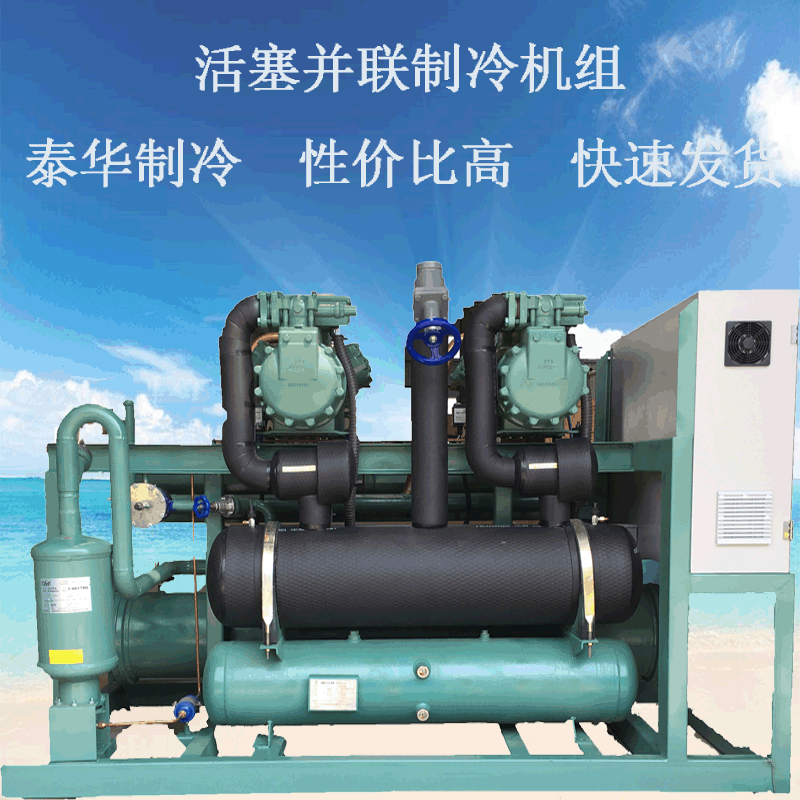 比泽尔半封闭活塞式二并联压缩机组 PLC风冷低温全套冷库制冷设备
