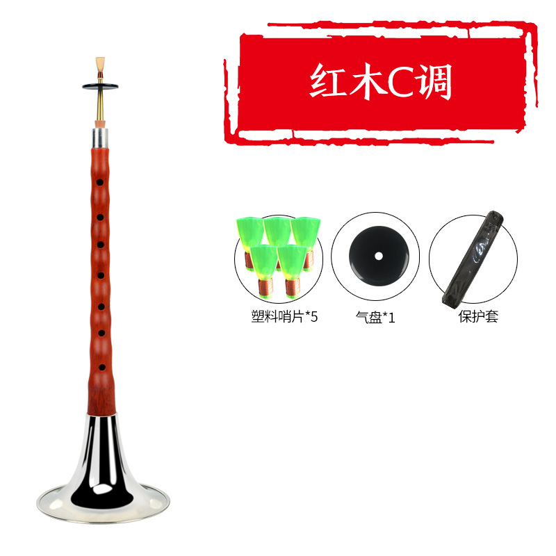 Ébano ébano suona instrumento musical bcefg ajustable tono D principiante viejo profesional niños tamaño pequeño grande Rosewood silbato