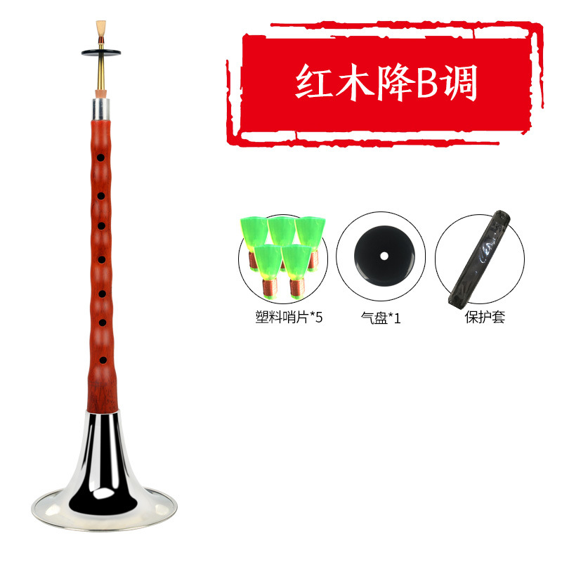 Ébano ébano suona instrumento musical bcefg ajustable tono D principiante viejo profesional niños tamaño pequeño grande Rosewood silbato