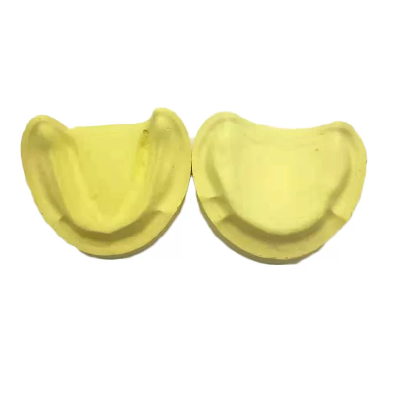 Oral dental gypsum model Oral teaching Gypsum -free model upper and lower jaw oral model