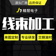 源头工厂汽车专业线束加工车用防水电子连接线束电源线来样