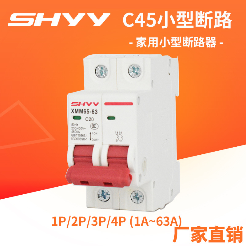 DZ47家用空开MCB微型断路器 供应220V空气开关 带指示窗 1P2P3P4P