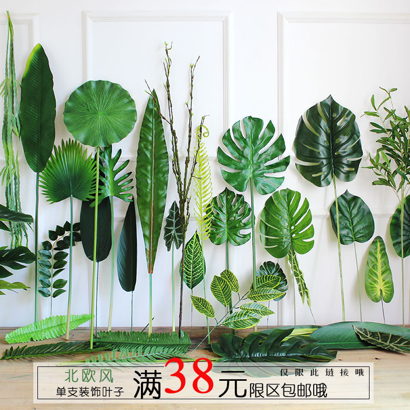 Factory Store ins Turtle Leaf Fake Decoration Green Simulation Large Leaf Background Wall Leaves Creative Flower Landscape