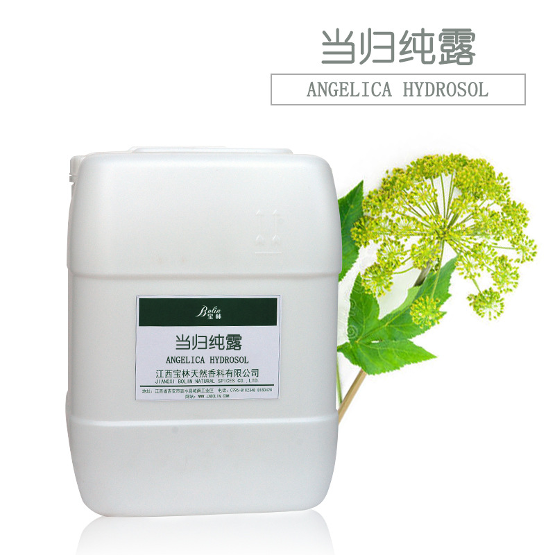 当归纯露 当归（ANGELICA POLYMORPHA SINENSIS）根提取物 可拿样