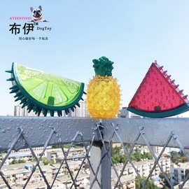 亚马逊发声狗玩具tpr宠物橡胶耐咬水果冰冻工厂现货狗狗大型犬