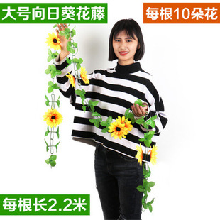 ̫ꖻ����տ����ټٻ����{���ӹܵ��ړ������ٗl�߷���Gֲ����