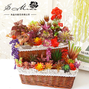 019С̖��ɫϵ�ж����b����DIY�OӋ���ϻ��S�Ҵ��l����ֲ��