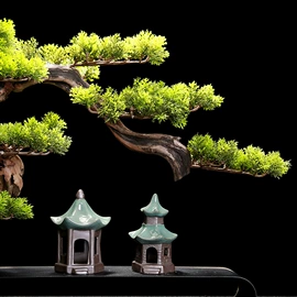 花盆容器;水培植物瓶;花盆装饰