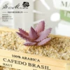 Aloe velvet purple (excluding pot)