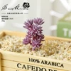 Bozanca brushing purple (excluding pots)