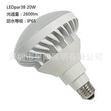 室外照明灯具LEDPAR灯E26日本广告牌投光器 IP65防水灯  par3820W