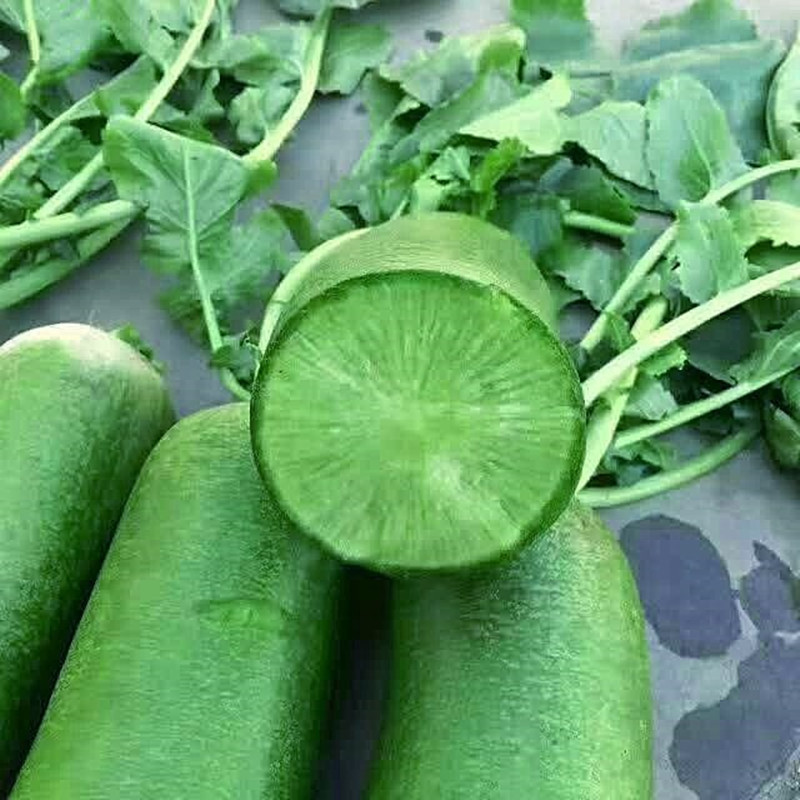 满堂红萝卜白萝卜樱桃萝卜红心七叶籽红心里美青皮红心萝卜种子