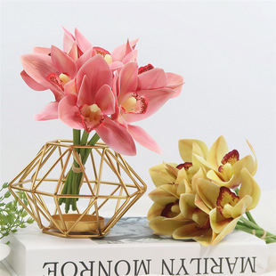 ��Ʒ�|�ָ�ޥ�m���������m������ԡ�Ҕ[�O�b�ˇ���h���[�����l