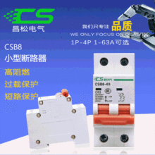 MCB3P��·��DZ47С�͔�·���՚��_�P C�����_�P NB1 CH1CH2 IC65