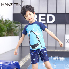 New Korean Children's Swimwear Set for Boys Shark Baby Swimwear for Boys, Swim Cap, Foreign Trade Swimwear 2024