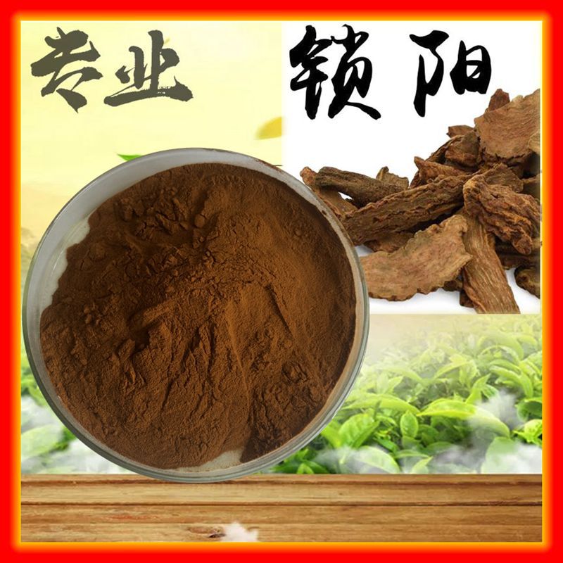 锁阳生物碱 98%  锁阳碱 锁阳提取物  厂家现货 三证齐全 1kg包邮