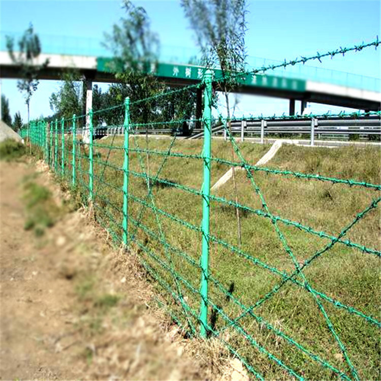 包塑刺绳隔离栅 48圆管刺绳立柱 12#14*刺钢丝 工厂自营