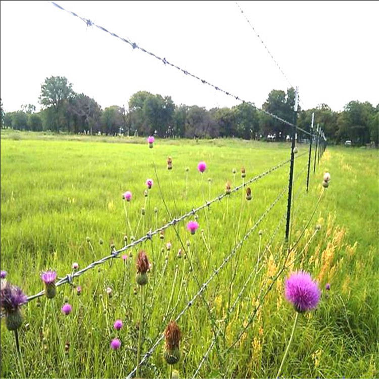 园林刺绳 带刺 钢丝网 山地围栏 编织网隔离栅 【工厂自营】