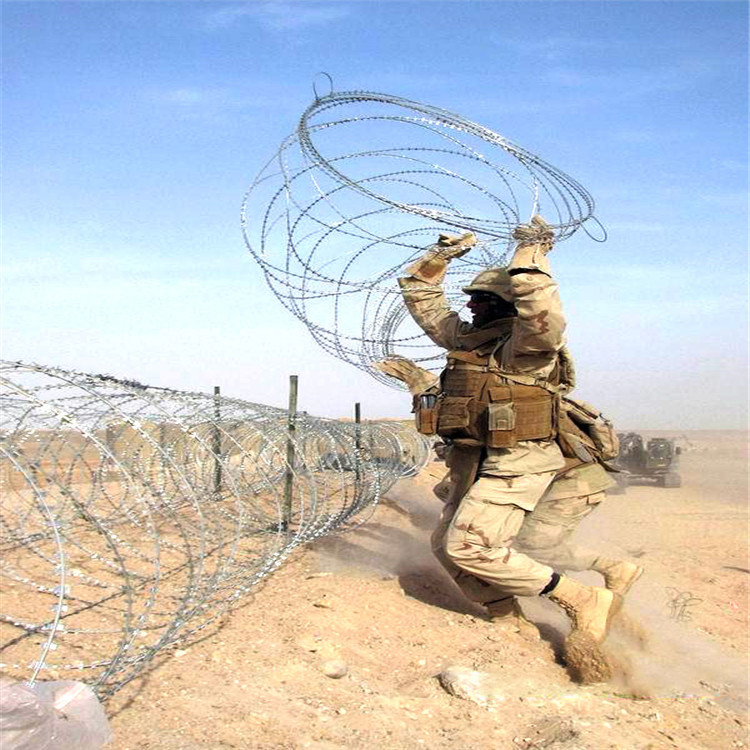 边境防护网  刀片滚笼 芯线2.5mm φ500bto22d刀片刺绳 工厂自营