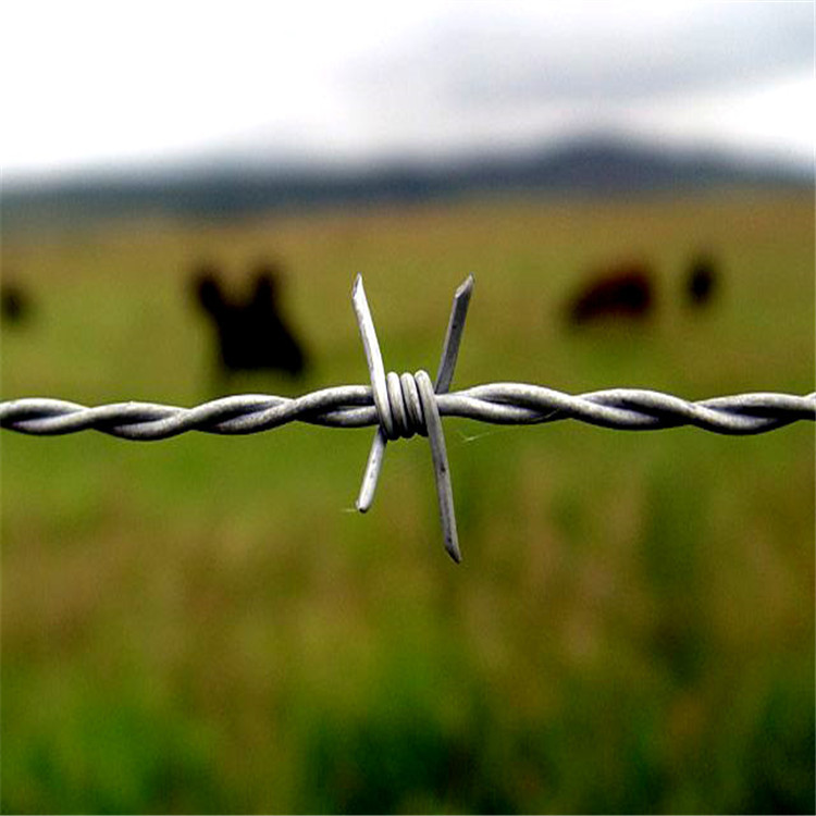 1.7mm刺钢丝 正反拧刺绳   48圆管浸塑刺绳立柱 【工厂自营】