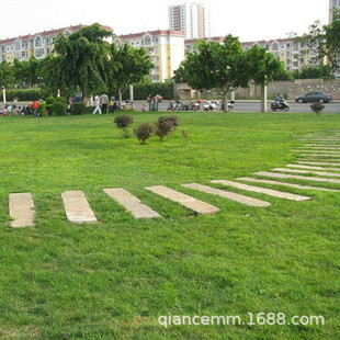 ���l���������� �ļ����ƺ�N��ͥԺ�e���G�����̌��ò��� ��Ľ��