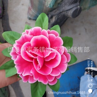 4Ƭ���~õ�廨 �o���� ����춻�Ȧ ��֦ ������ ���@ ���� ��