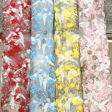 2019＾¿W erоW̽ٽzBȹŮb