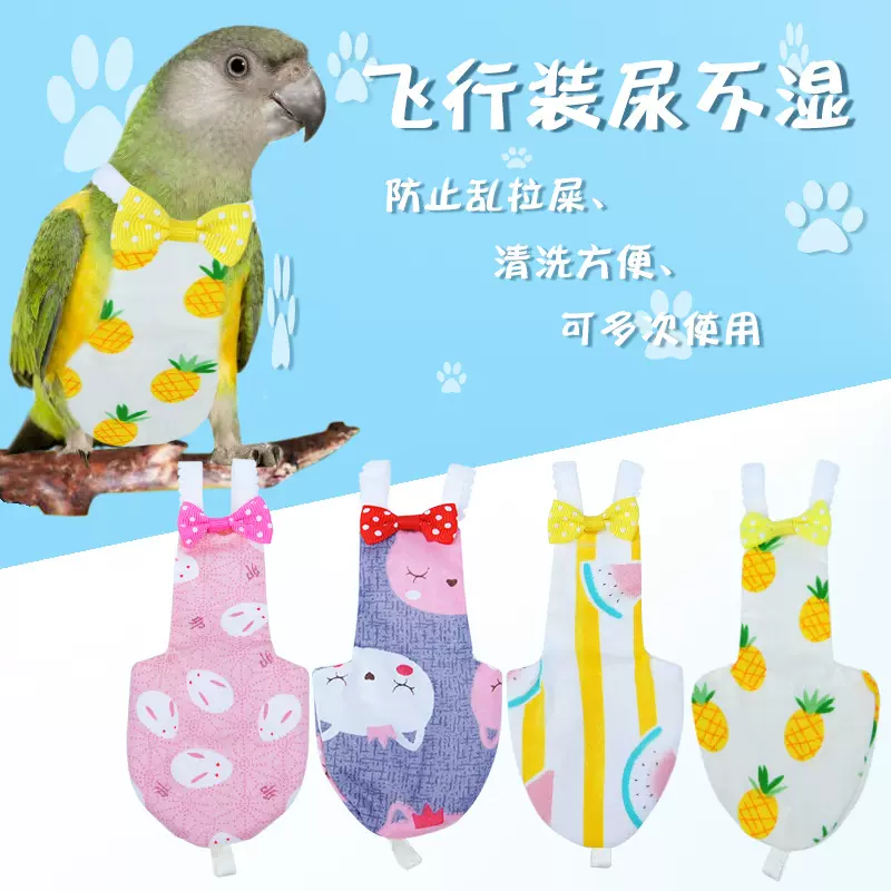 鹦鹉飞行服 跨境宠物鸟衣服鹦鹉鸽子服装尿不湿屎兜尿裤