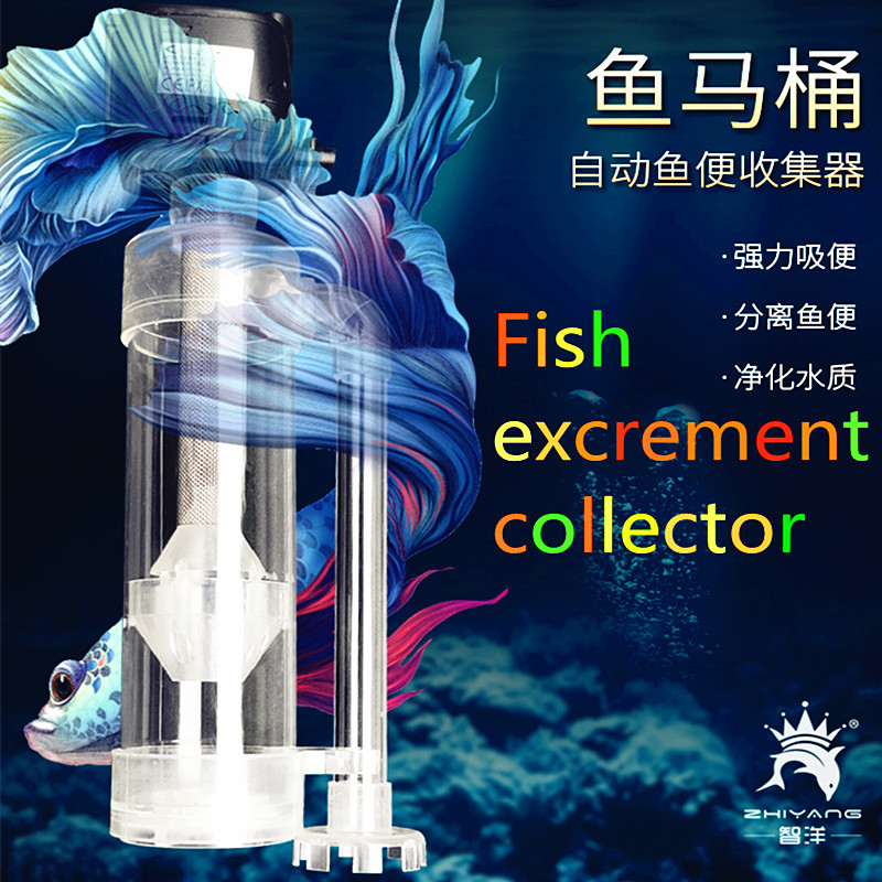 智洋鱼马桶 过滤粪 清洁鱼缸   观赏鱼水族鱼便收集分离器