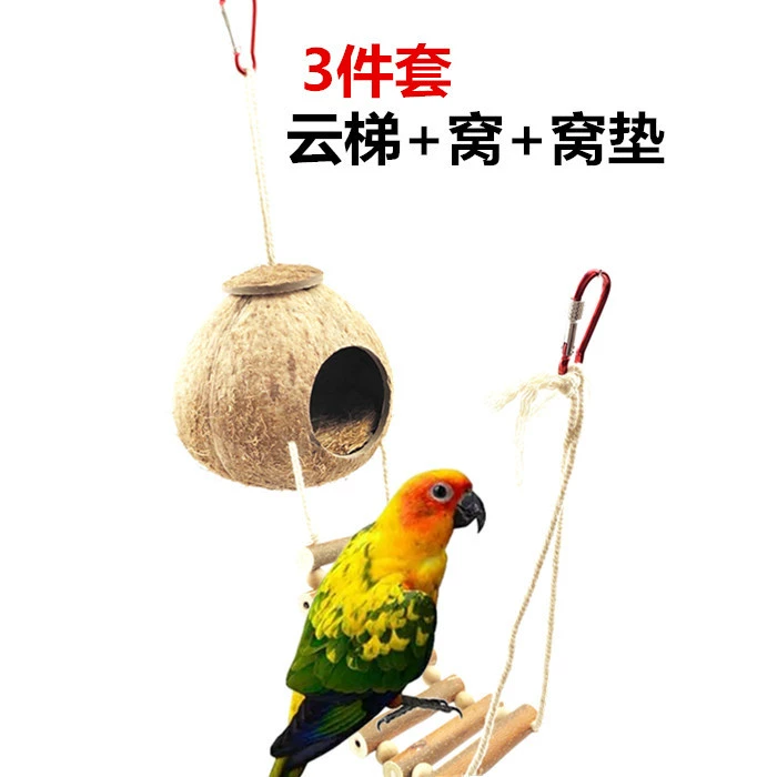 Amazon ebey горячее Птичье гнездо попугая хомяк медовый Скунс гнездо для разведения кокосовой скорлупы Птичье гнездо с лестницей коврик из кокосовой пальмы