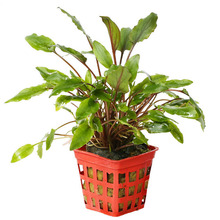 ˮ����wС�t��߅���ݻ��wˮ��ˮ���~�^�p�쾰��ˮ�����l���ˮ��