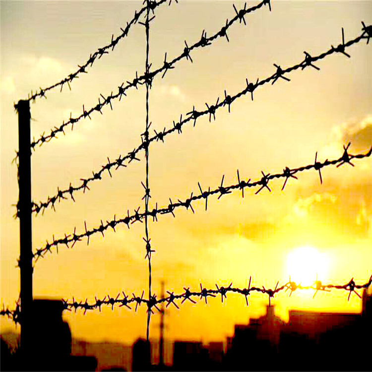 厂家批发圈山道路隔离栅围栏 带刺铁丝网 刺铁丝隔离栅 工厂自营